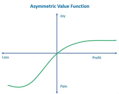 Asymmetric Value Function