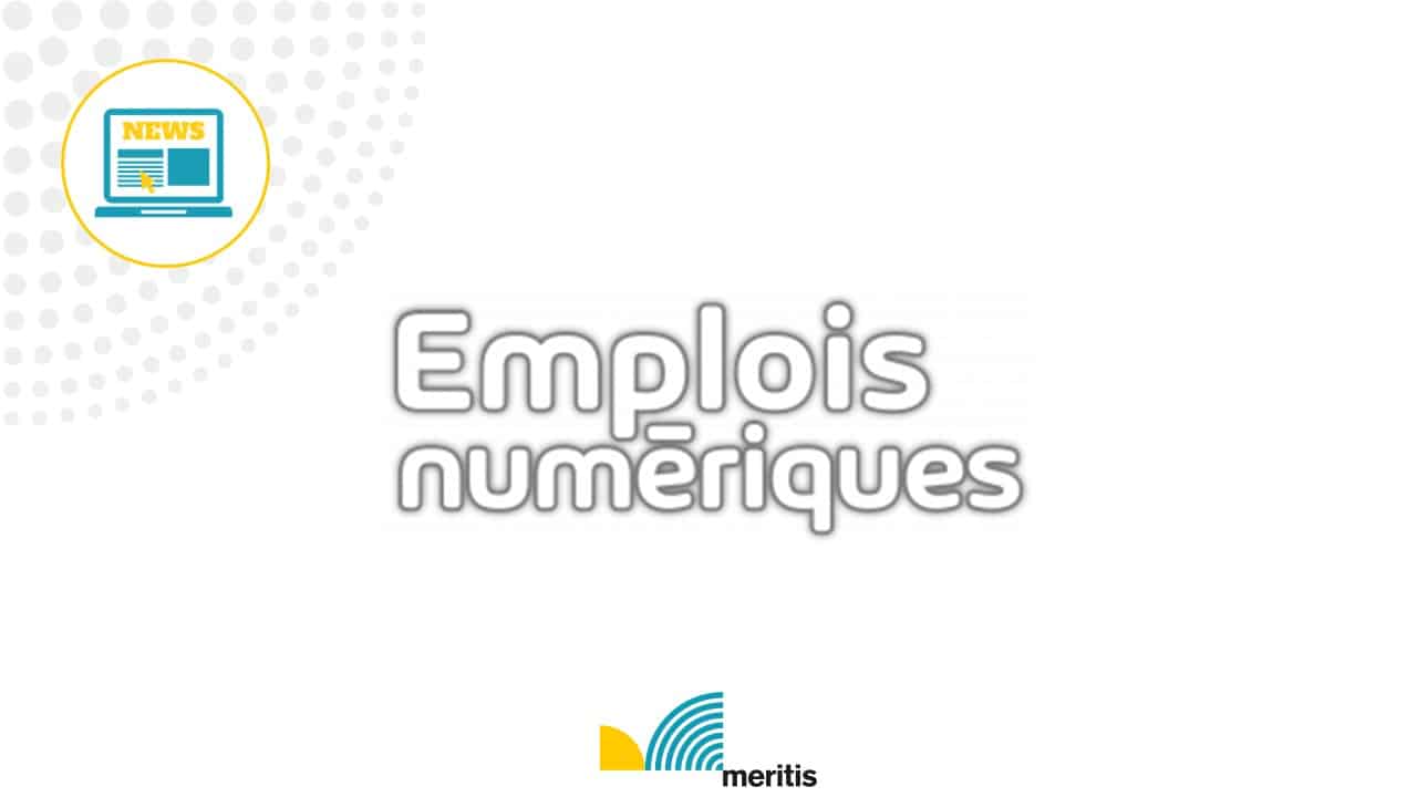 Logo emplois numériques