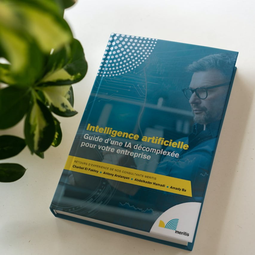 mockup LB Data Science  Livre blanc IA  meritis