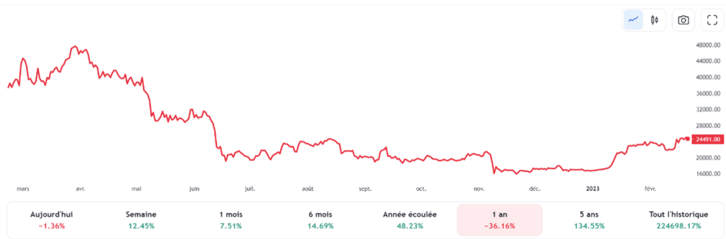 Cours du Bitcoin sur 1 an (Trading View)