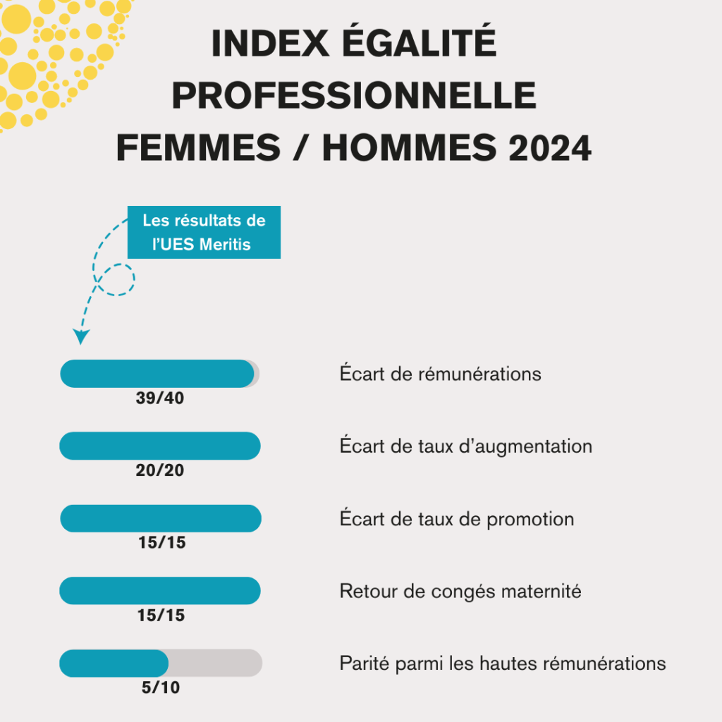 Meritis Indice égalité FH 2024 - détail du score