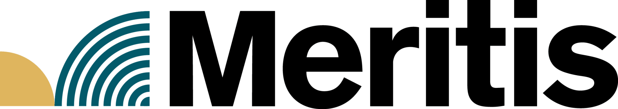 Logo Meritis 2025 v2