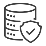 icon Shield + database 2